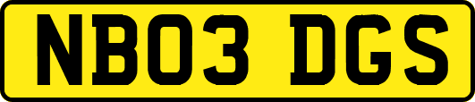 NB03DGS