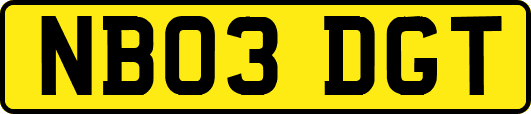 NB03DGT