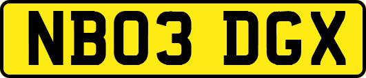NB03DGX