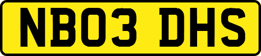 NB03DHS