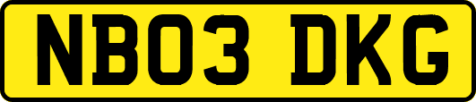 NB03DKG