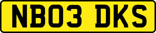 NB03DKS