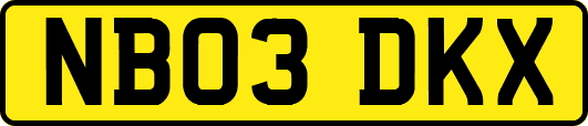 NB03DKX