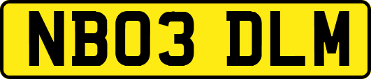 NB03DLM