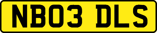NB03DLS