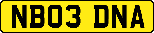NB03DNA