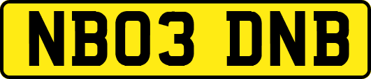 NB03DNB