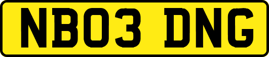 NB03DNG