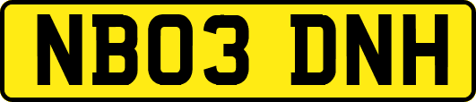 NB03DNH