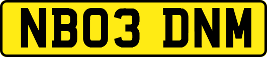NB03DNM