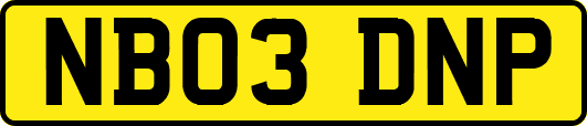 NB03DNP