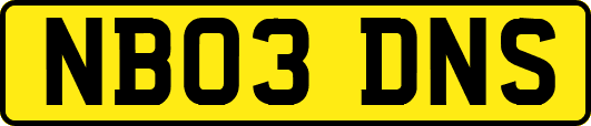 NB03DNS