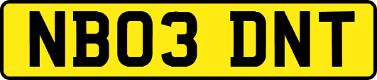 NB03DNT