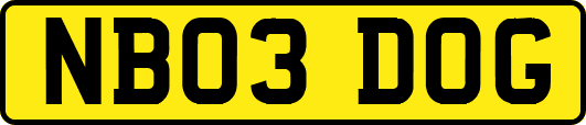 NB03DOG