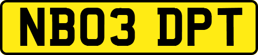 NB03DPT