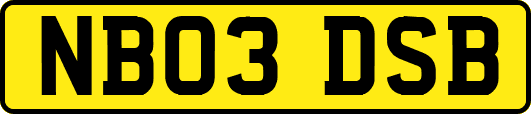 NB03DSB