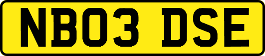 NB03DSE