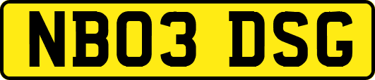 NB03DSG