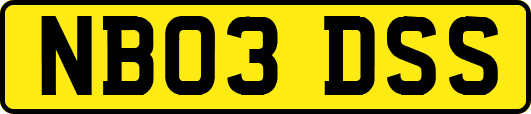 NB03DSS