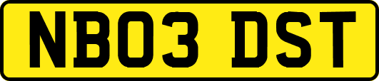 NB03DST