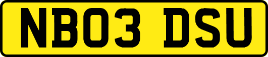 NB03DSU