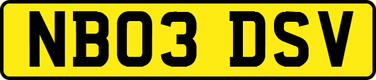 NB03DSV
