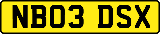 NB03DSX