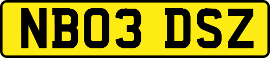 NB03DSZ