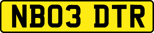 NB03DTR