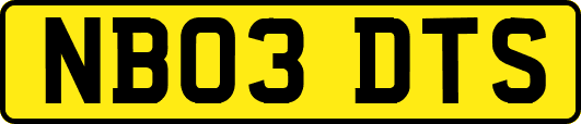 NB03DTS