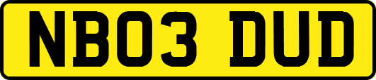 NB03DUD