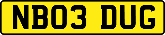 NB03DUG