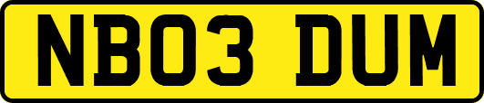 NB03DUM