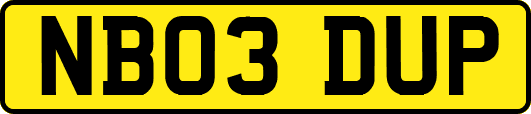 NB03DUP