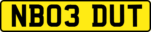 NB03DUT