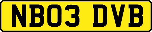 NB03DVB