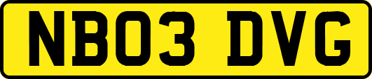 NB03DVG