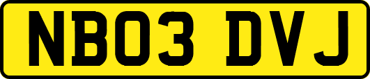 NB03DVJ