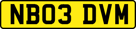 NB03DVM
