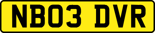 NB03DVR