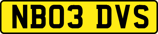 NB03DVS