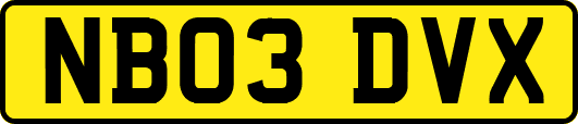 NB03DVX