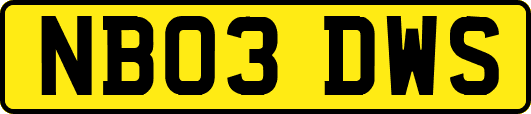 NB03DWS