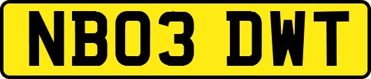 NB03DWT