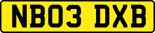 NB03DXB
