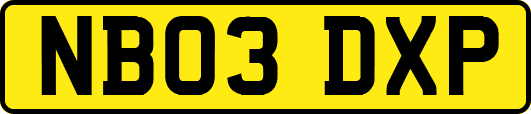 NB03DXP