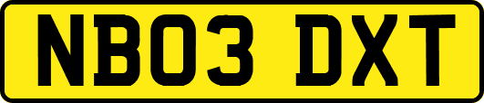 NB03DXT