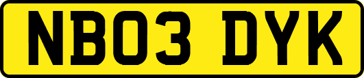NB03DYK