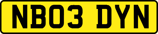 NB03DYN