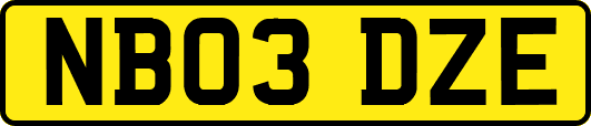 NB03DZE